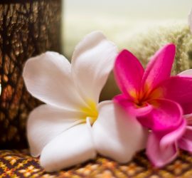 Thai Touch Massage Utopia Broome